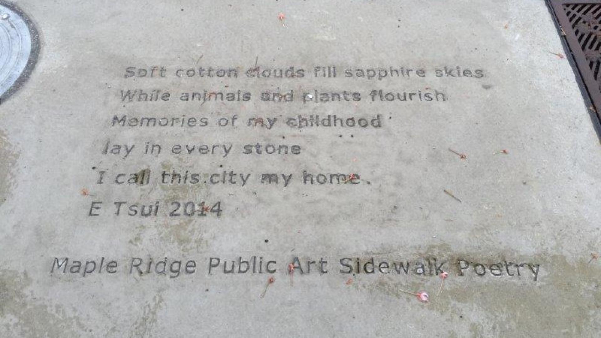 A poem stamped into a concrete sidewalk: Soft cotton clouds fill sapphire skies, While animals and plants flourish, Memories of my childhood, lay in every stone, I call this city my home E Tsui 2014 Maple Ridge Public Art Sidewalk Poetry 